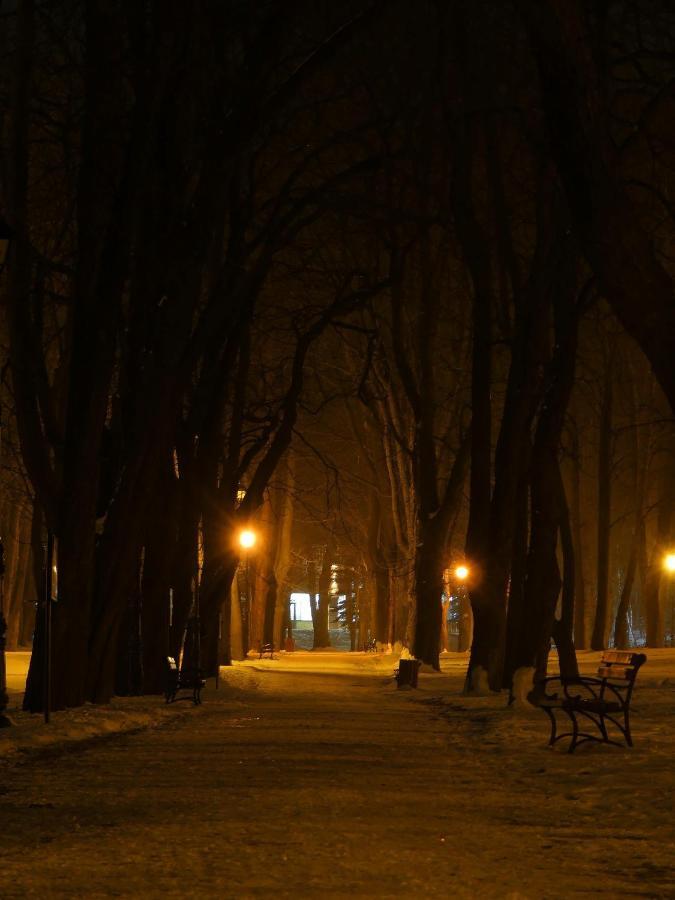 Dom Goscinny Orange Wysowa-Zdrój Cameră foto